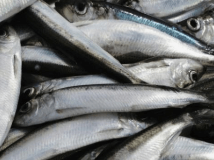 1604543569229718.png 1.png